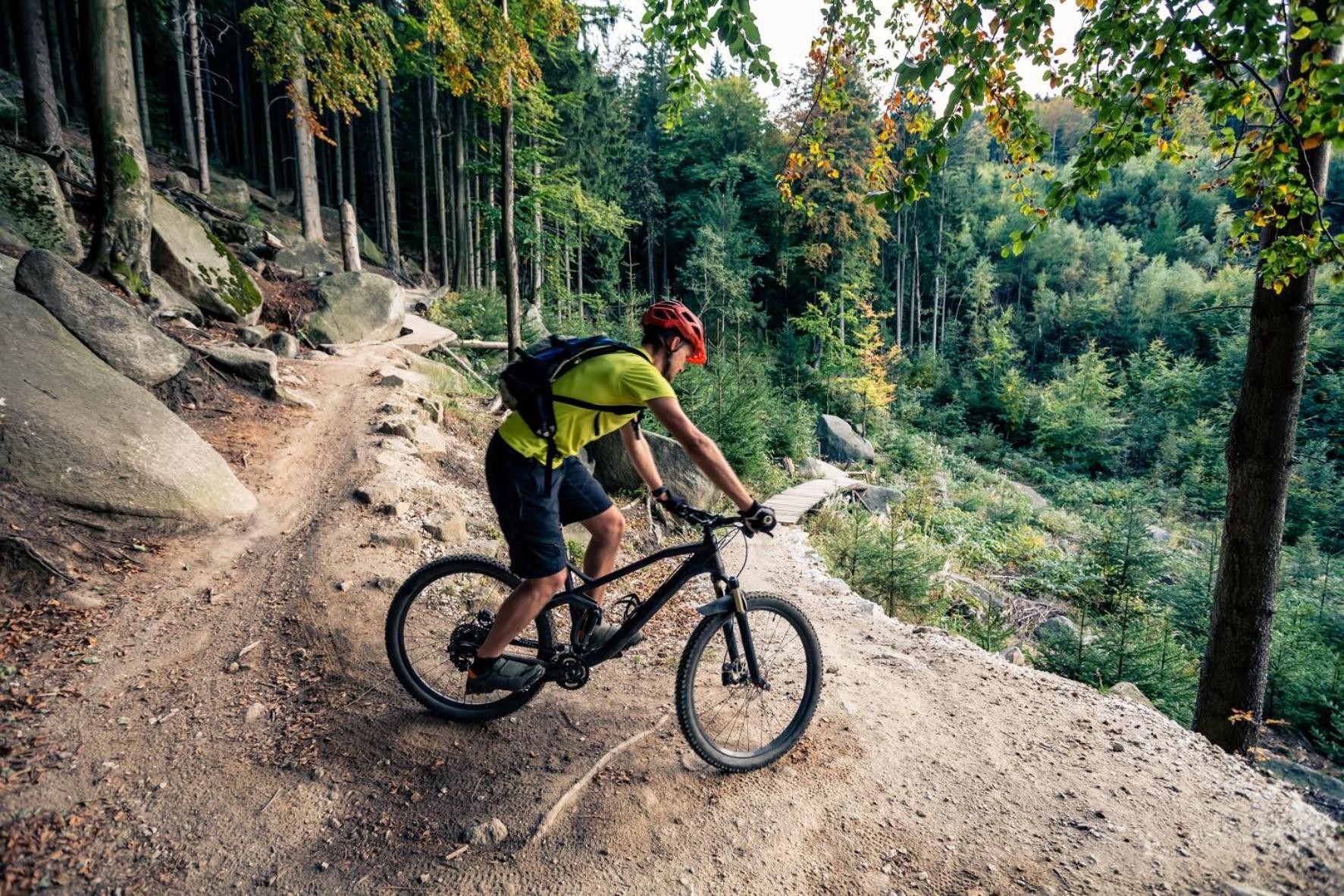 Elements Hotel&Spa Świeradów-Zdrój 外观 照片 A mountain biker riding a trail